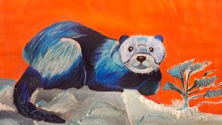 Sinisenkirjava näätäeläin makaa lumihangella.