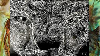 Karvaisen eläinhahmon kasvot.