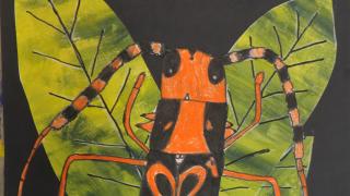 Mustaoranssi hyönteinen kasvilehden päällä.